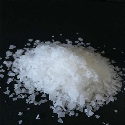 18- (tert-butoxy) -18- acid oxooctadecanoicCas 843666-40-0